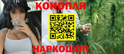 МДПВ Пушкино